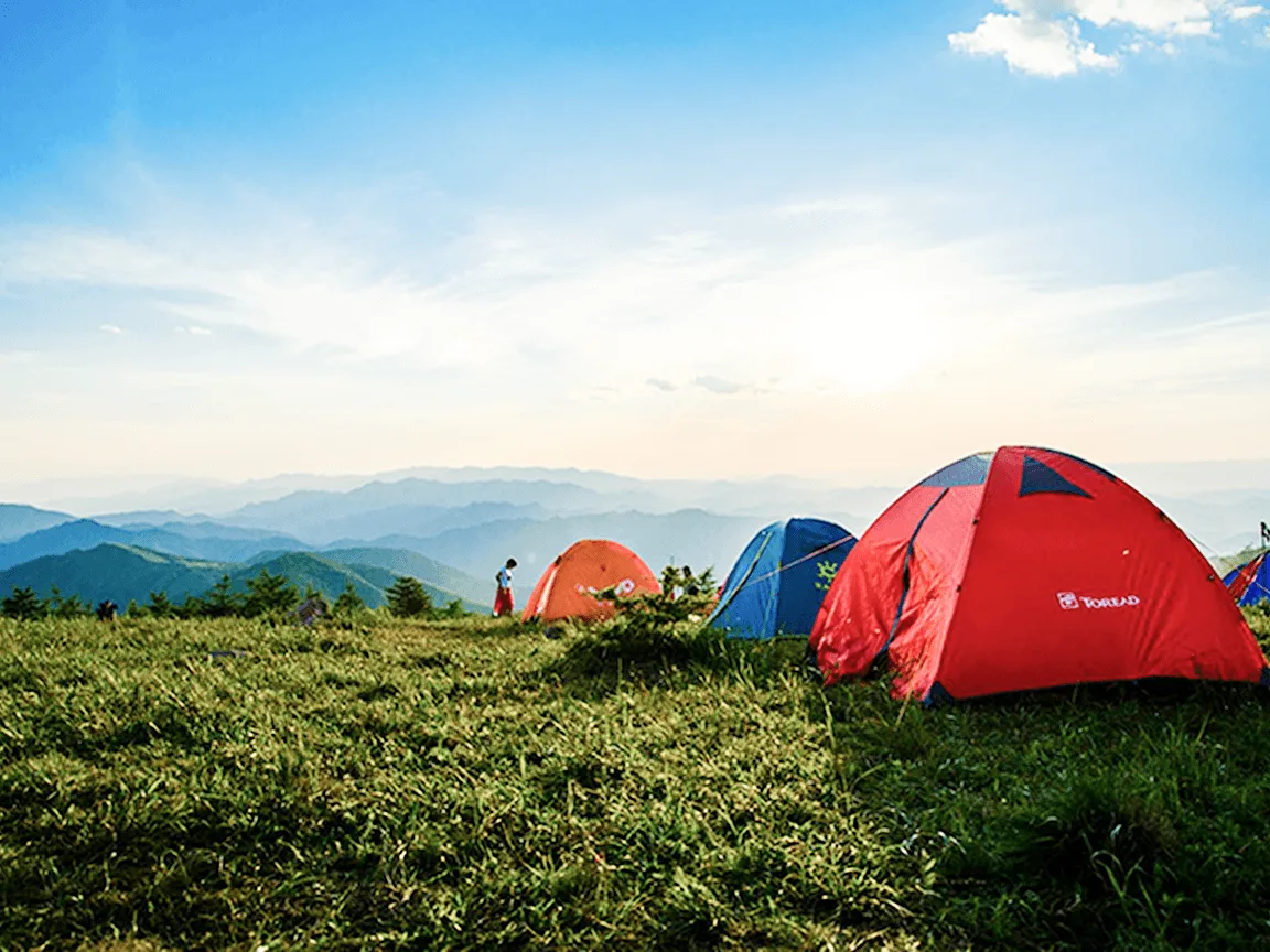 Starlit Wilderness Camp